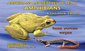 Amphibians Study Book