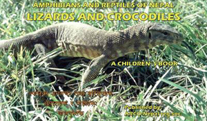 Lizard Study Book