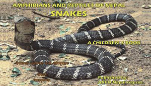 Snakes Study Book